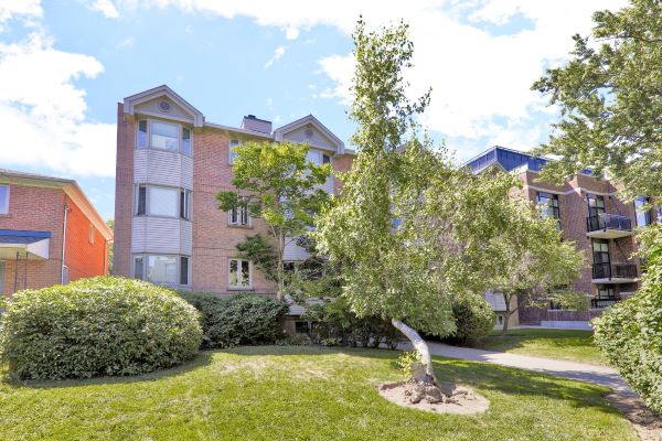 60 Kippendavie Ave Toronto