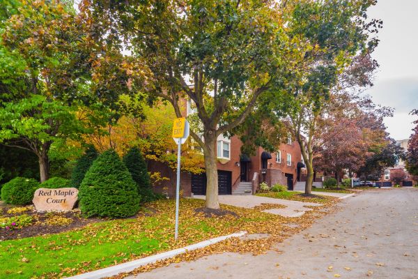 
Red Maple Crt North York Toronto