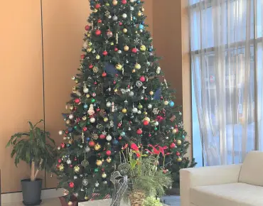 
            #1211-58 Orchard View Blvd Yonge-Eglinton 1睡房2卫生间1车位, 出售价格688000.00加元                    