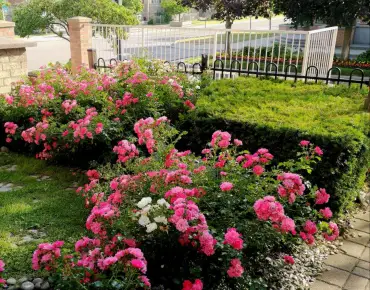 #3-10 Cox Blvd Unionville 3 beds 3 baths 2 garage 888000.00