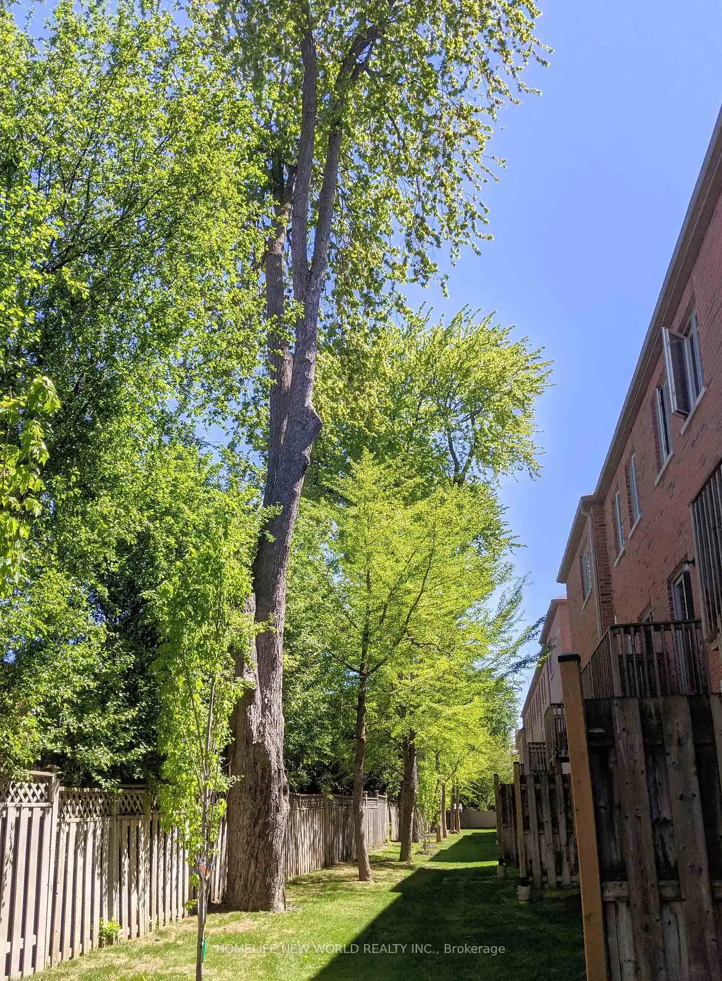 Richmond Hill 共管镇屋