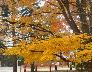 
3022 Bayview Ave <a href='https://luckyalan.com/community.php?community=North York:Willowdale East'>Willowdale East, North York</a> 4 beds 5 baths 1 garage $2.29M