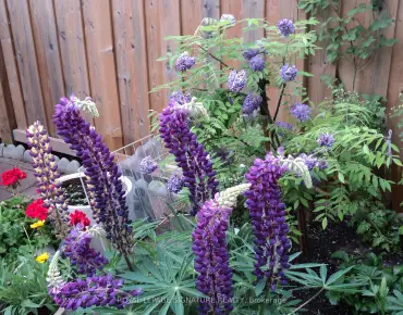 
48 Eileen Ave Rockcliffe-Smythe, Toronto 2 beds 2 baths 1 garage $695K