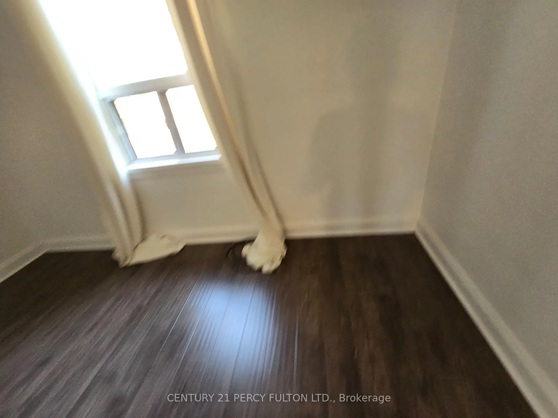 房屋图片