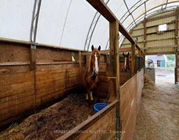 3240 Salem Rd Rural Pickering, Pickering 5 beds 7 baths 4 garage $3.799M