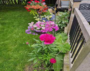 1622 Hollyhedge Dr Brock Ridge, Pickering 4 beds 4 baths 2 garage $1.04M