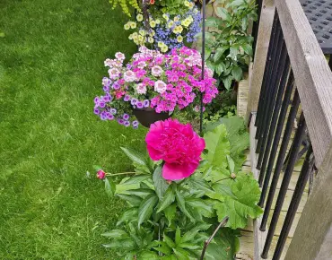 
731 Breezy Dr West Shore, Pickering 4 beds 2 baths 1 garage $789.8K