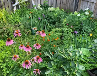 106 Willow Ave The Beaches, Toronto 3 beds 3 baths  garage $1.195M