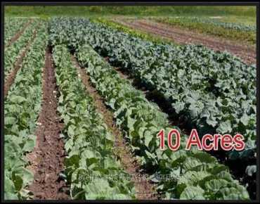 16271 Highway 48 N/A Rural Whitchurch-Stouffville, Whitchurch-Stouffville 3 beds 4 baths 3 garage $3.36M