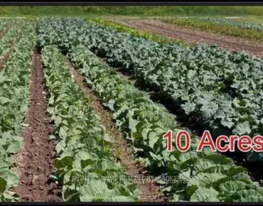 
3096 Bethesda Rd Stouffville, Whitchurch-Stouffville  beds  baths  garage $1.8M
