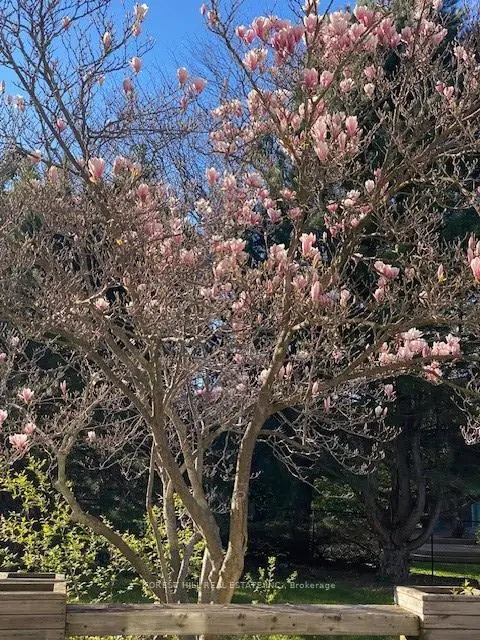 房屋图片
