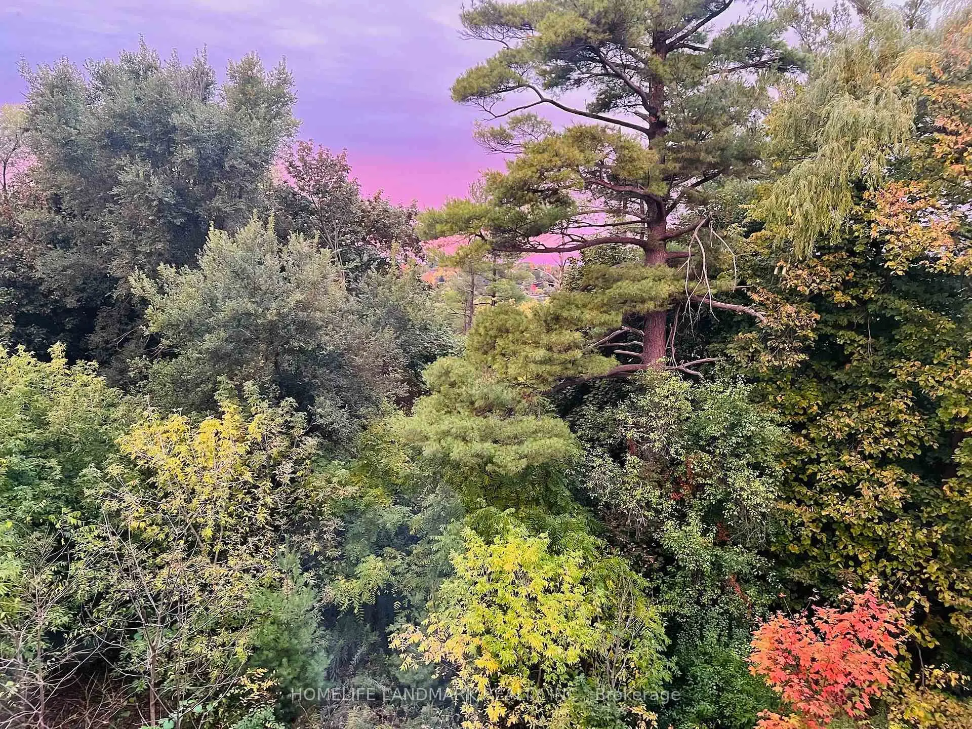 房屋图片
