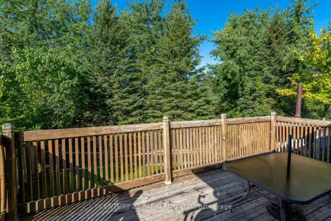 Richmond Hill Oak Ridges Lake Wilcox community 85 Canoe Crt For Sale
