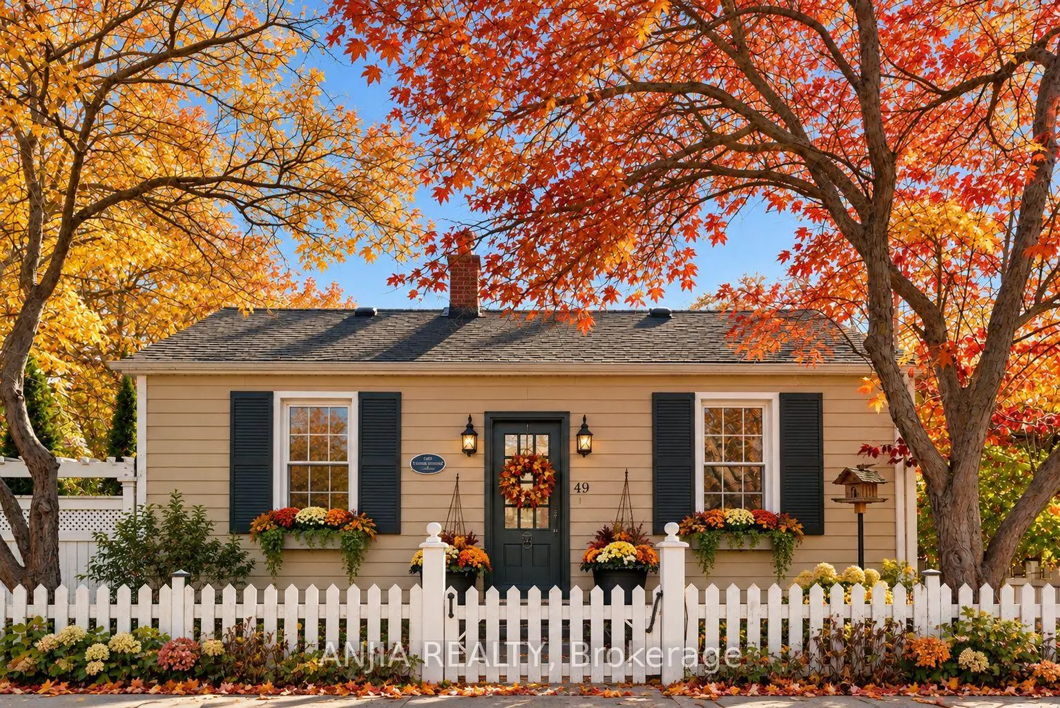 Property Images