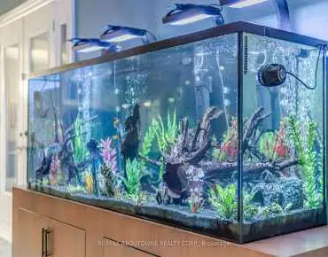 1271 Mineola Gdns Mineola, Mississauga 4 beds 5 baths 4 garage $3.6M
