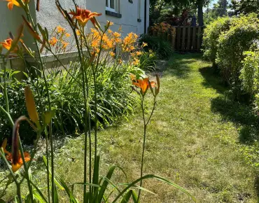 
316 Durie St Runnymede-Bloor West Village, Toronto 4 beds 2 baths 1 garage $1.495M