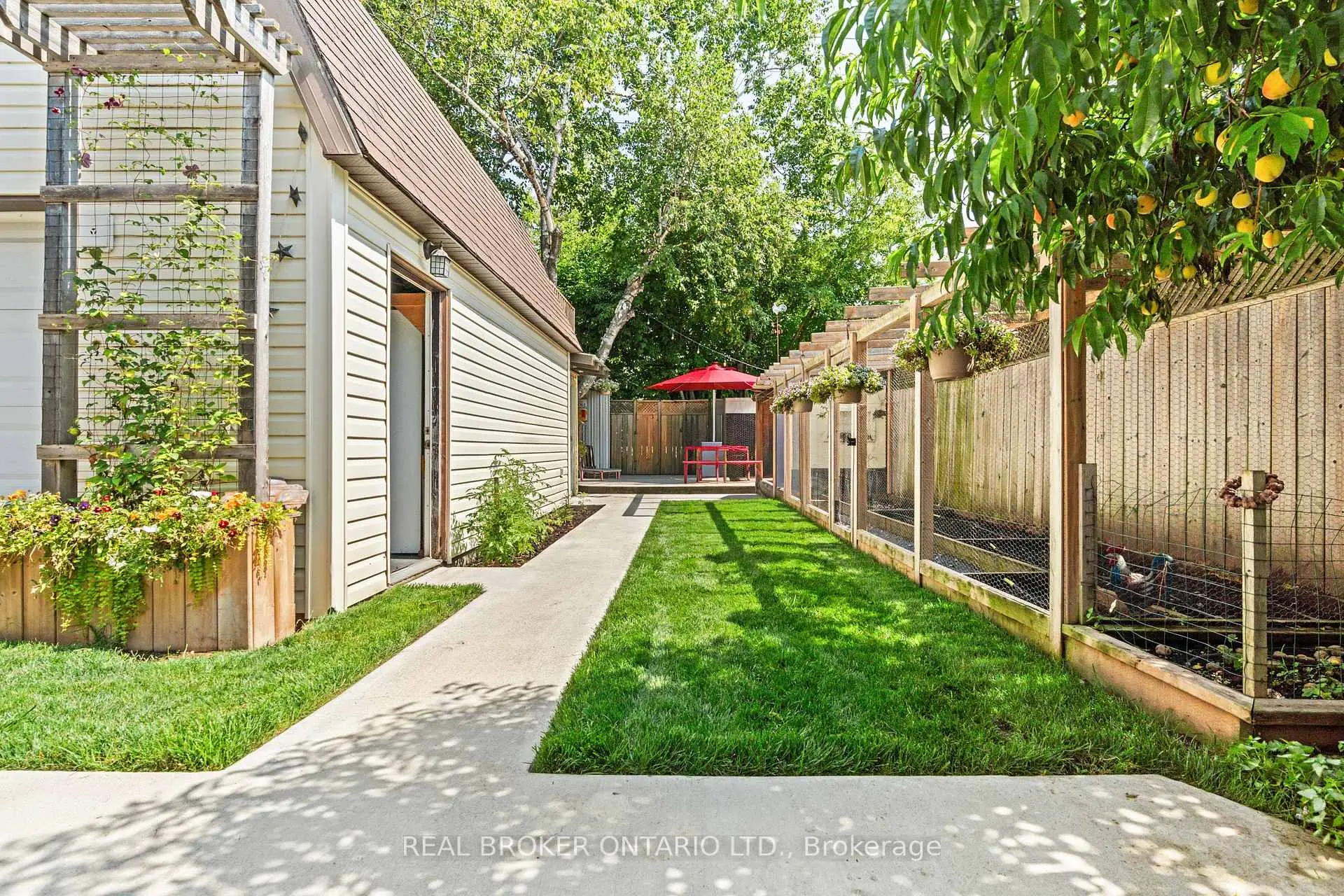 Property Images